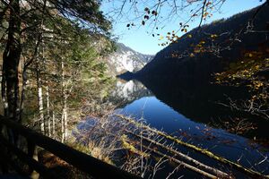 Toplitzsee 78185 2014-11-03.jpg
