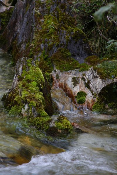 Datei:Ursprungbach 36287 2011-09-10.jpg
