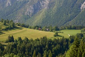 Vlg gindl w-wald-0207-2023-06-09.jpg