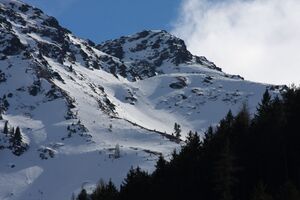 Wildkar -untertal 58731 2011-03-15.jpg