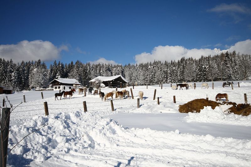 Datei:Zechmannhof ramsau 17478 2016-01-18.jpg