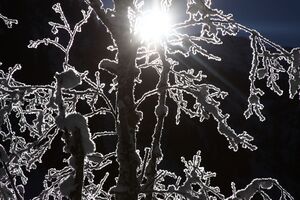 Bodensee 26585 2014-01-01.jpg