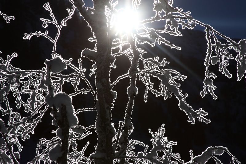 Datei:Bodensee 26585 2014-01-01.jpg