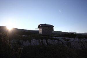 Bräuningalm 50232 2017-06-11.jpg