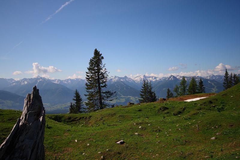 Datei:Brandriedel 22760 2008-06-10.jpg