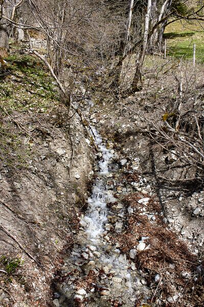 Datei:Buntzbauergrabenbach-3000360-2023-04-22.jpg