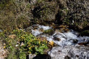 Eisengraben gerinne 624067-113-2020-05-27.jpg