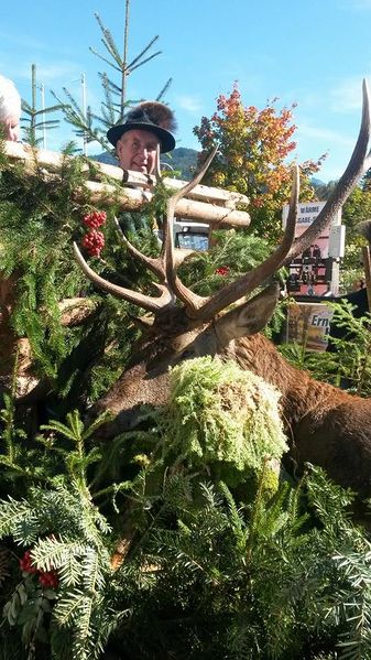 Datei:Erntedankfest irdning h.schwab1.jpg