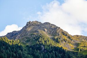 Farmrieseck -untertal 06600 2019-08-14.jpg