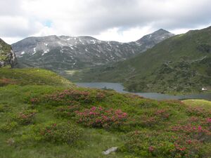 Giglachsee 2252 2006-07-10.jpg