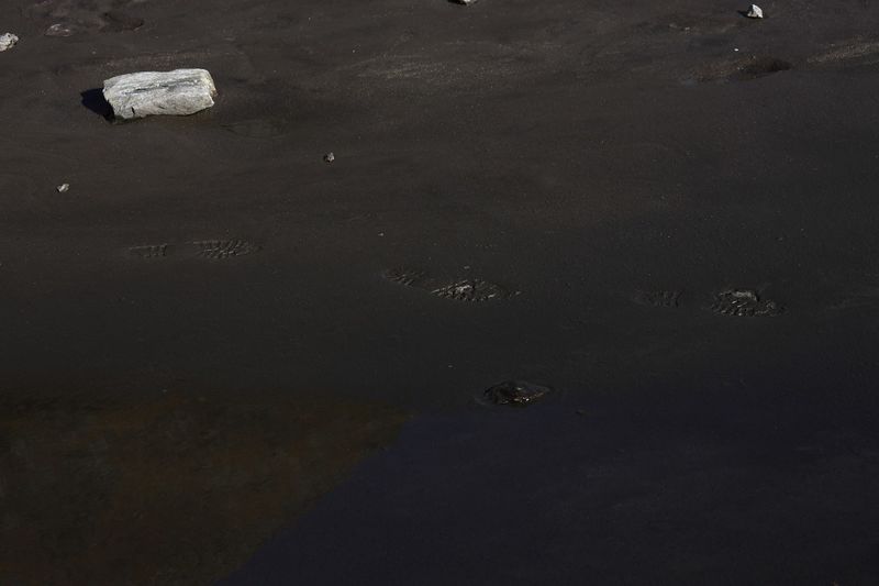 Datei:Goldlacken 0281 2013-10-08.jpg