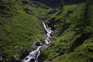 Innere alm 1531 2011-07-10.jpg