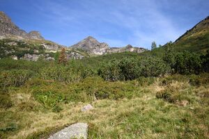 Lassachalm (Alm) 02515 2015-08-28.jpg