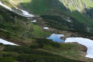 Obere riednersee 65503 2014-06-26.jpg