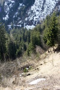 Schlapfleiten ramsau-0077-2024-02-04.jpg