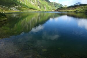 Untere riednersee 65387 2014-06-26.jpg