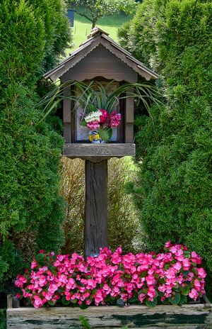 BST vlg Reissegger-32-2025-08-06.jpg