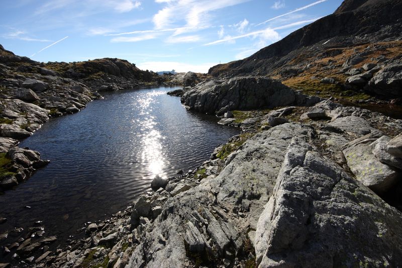 Datei:Goldlacken 0342 2013-10-08.jpg