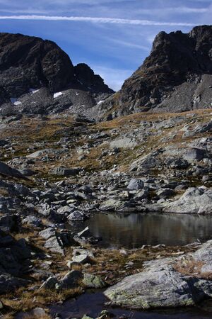 Goldlacken 0419 2013-10-08.jpg