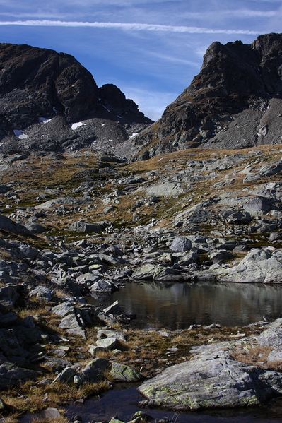 Datei:Goldlacken 0419 2013-10-08.jpg