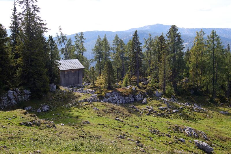 Datei:Handleralm Straßen-BA-0128-2023-09-17.jpg