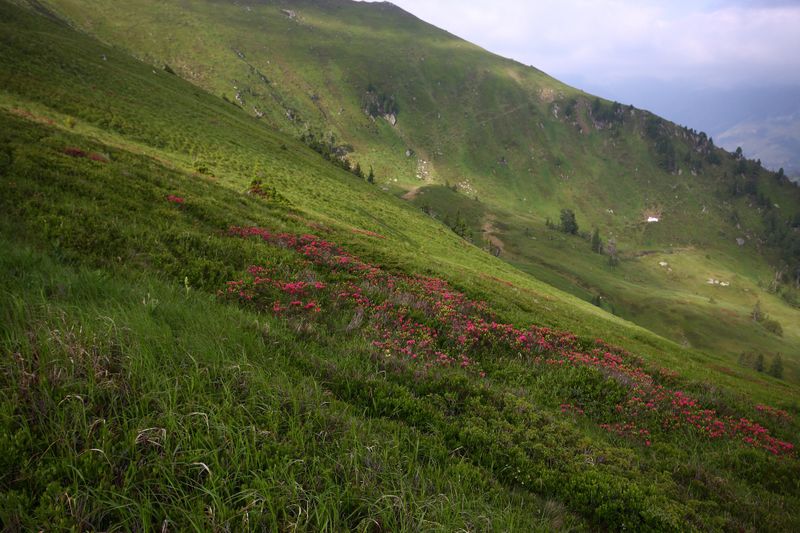 Datei:Mößnakar 1316 13-07-12.jpg