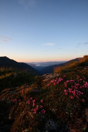 Nageleck sunrise 27436 2010-08-11.jpg