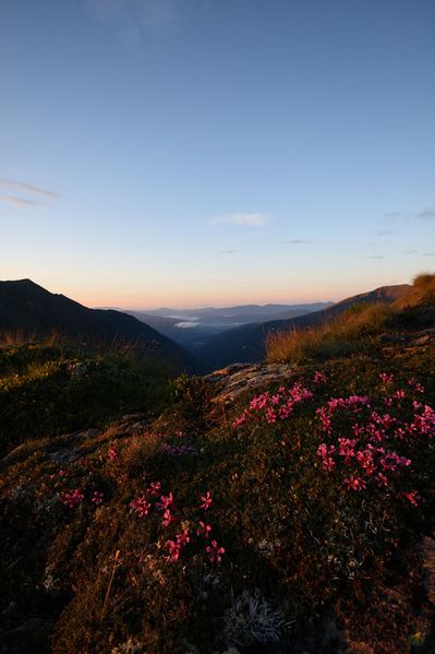 Datei:Nageleck sunrise 27436 2010-08-11.jpg