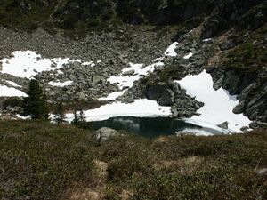 Obersee 5970 2004-06-27.jpg