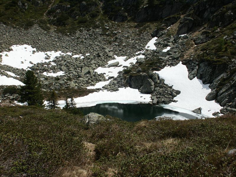 Datei:Obersee 5970 2004-06-27.jpg