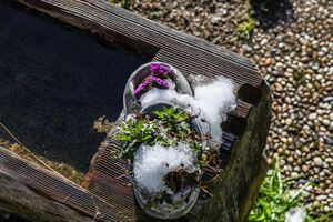 Pernerhütte neustattalm 6119 2011-10-22.jpg