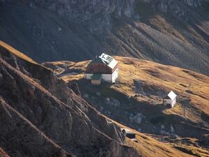 Scheichenspitz-edelgries 0819 2006-10-25.jpg