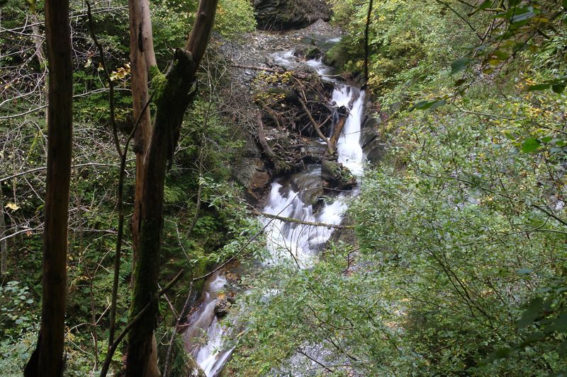 Datei:Teufelsschlucht Seewigtal 73437 2014-10-02.jpg