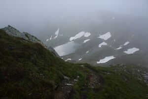 Untere riednersee 65322 2014-06-26.jpg