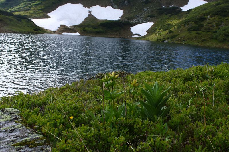 Datei:Untere riednersee 65356 2014-06-26.jpg