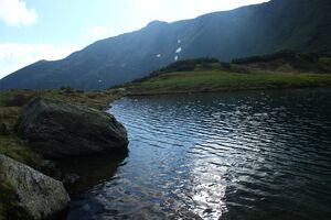 Untere riednersee 65366 2014-06-26.jpg