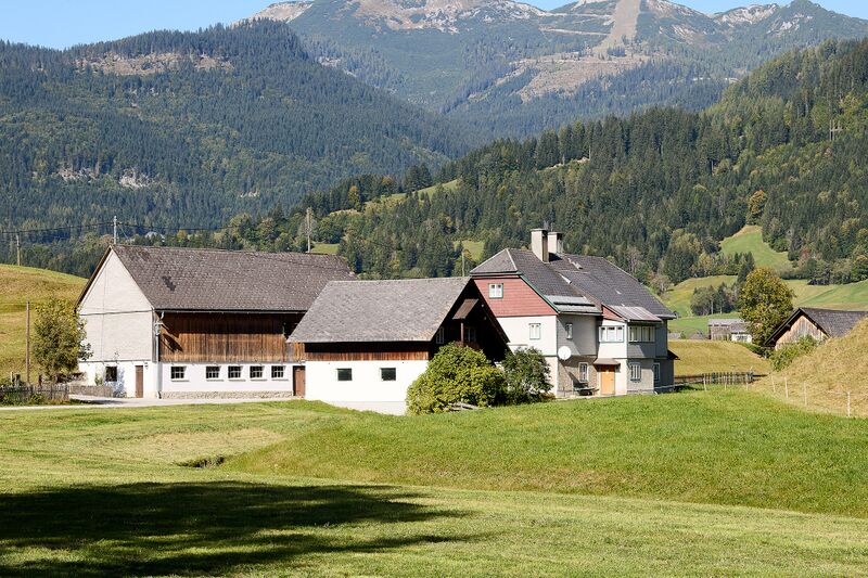 Datei:Vlg. Nellmüller Krungl 33-0582-2023-10-03.jpg