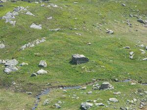 Weitkar putzental 16583 2006-07-06.jpg