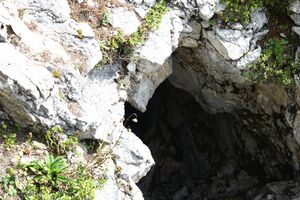 Bauer doline 34693 2016-09-26.jpg