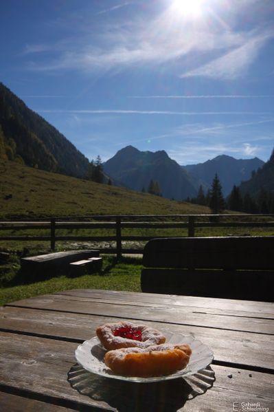 Datei:BauernkrapfenIMG 4856.jpg