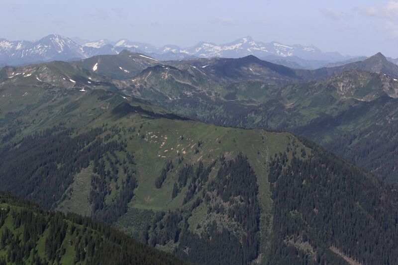 Datei:Brennkogel -sommereck 78152 2018-06-11.jpg