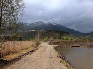 Frauenberger Torfstich70291.JPG