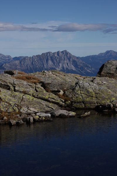 Datei:Goldlacken 0406 2013-10-08.jpg