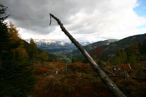 Guschen 20038 2007-09-28.jpg