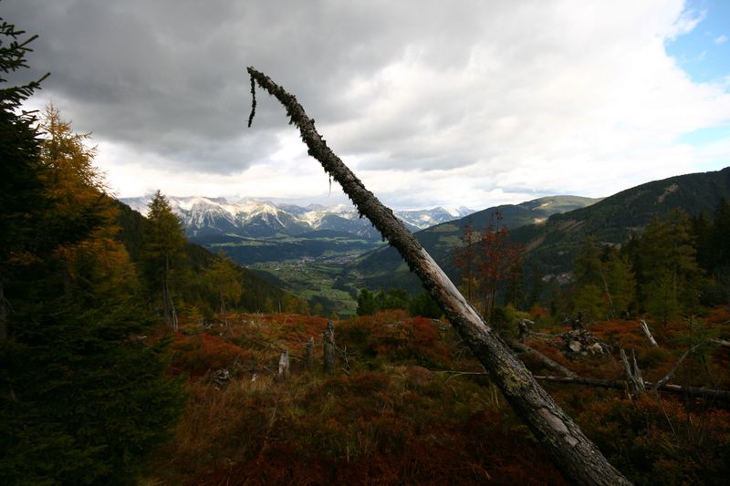 Datei:Guschen 20038 2007-09-28.jpg