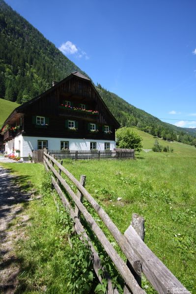 Datei:Hopfgartner kleinsölk 0345.jpg