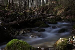 Luserbach -rössing 20058 2016-03-27.jpg