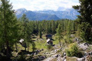 Planeralm Straßen-BA-0150-2023-09-17.jpg