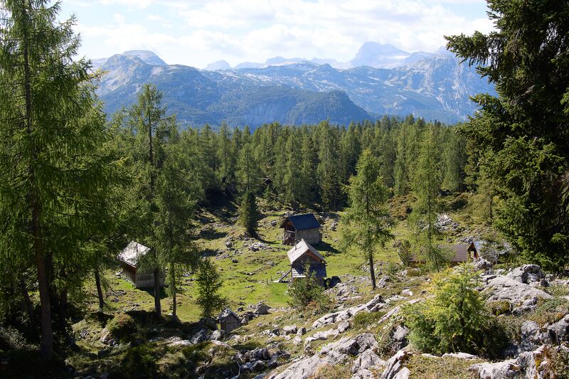 Datei:Planeralm Straßen-BA-0150-2023-09-17.jpg