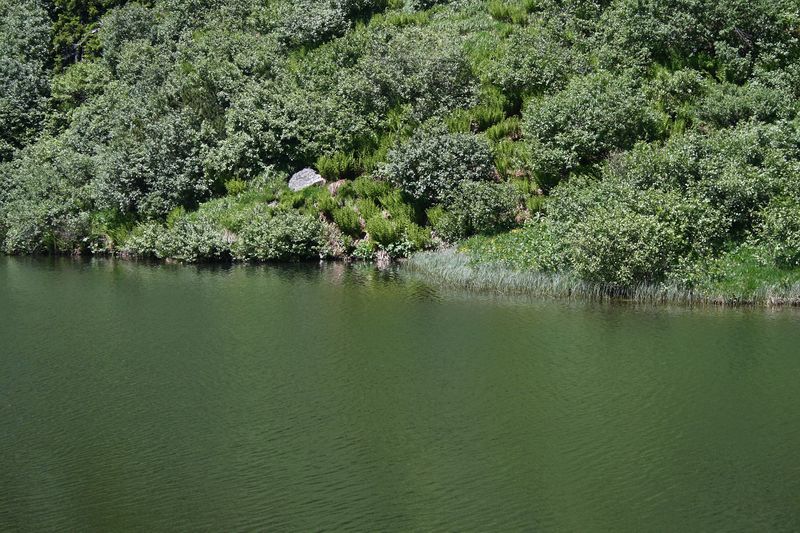 Datei:Plannersee 65301 2014-06-26.jpg